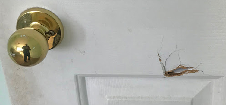 interior door hole repair Desert Palms